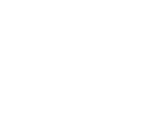 The Critical Home Inspection logo