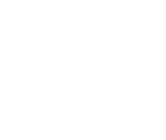 The Critical Home Inspection logo